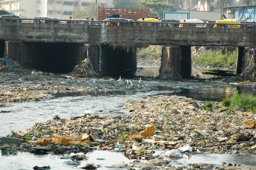 hindi essay on river pollution in india