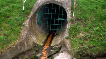 untreated sewage