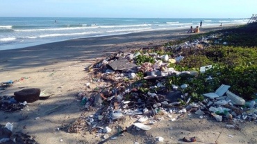 plastic pollution; ocean; water