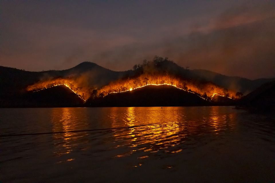 https://pixabay.com/photos/wildfire-bushfire-fire-forest-4755030/