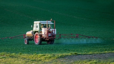 pesticide; crops