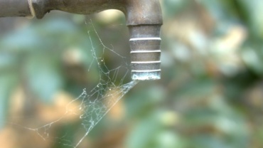 https://pixabay.com/photos/tap-water-scarcity-spider-web-2809040/