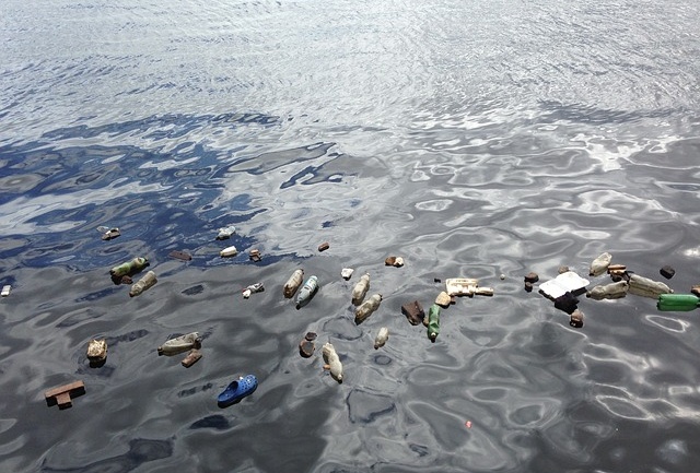 plastic; trash; ocean