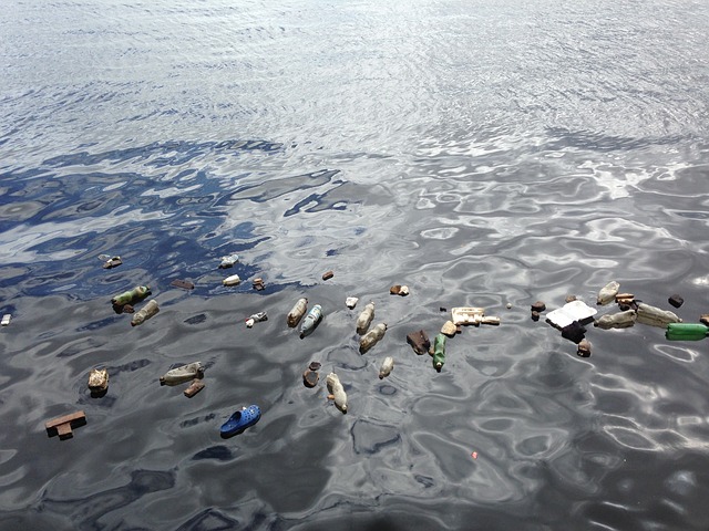 plastic; trash; ocean