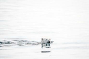 plastic pollution has been linked to rising temperatures