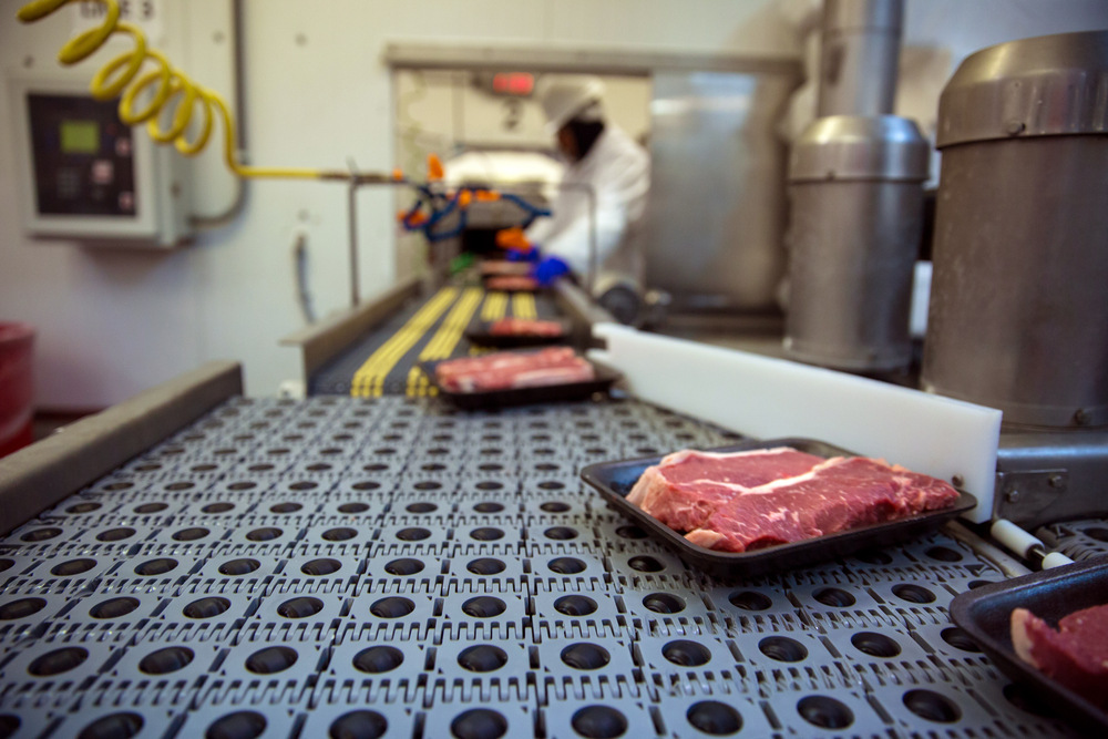 Meat on Conveyer Belt
