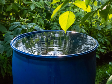 Rain barrels