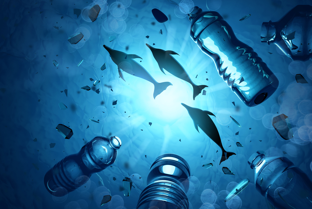 dolphins swimming with plastic and water bottles