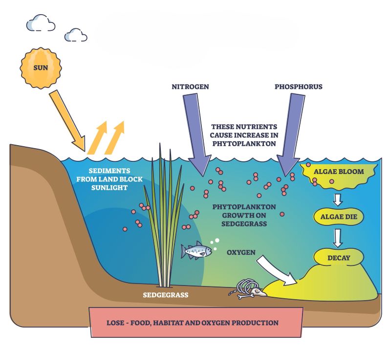 Image showing nutrient pollution in water bodies