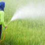 Pesticides pose a danger to human health and the environment