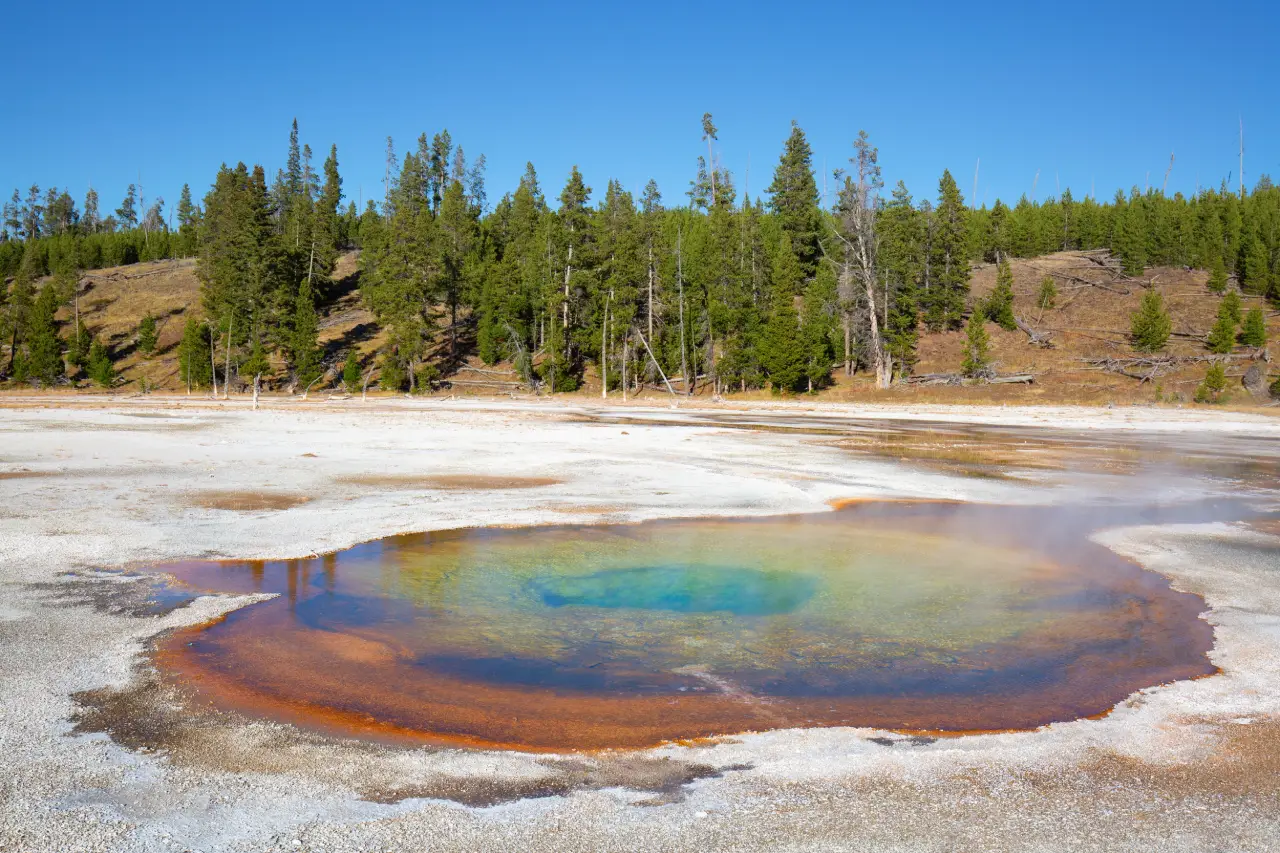 Some microbes can survive in boiling water and toxic minerals