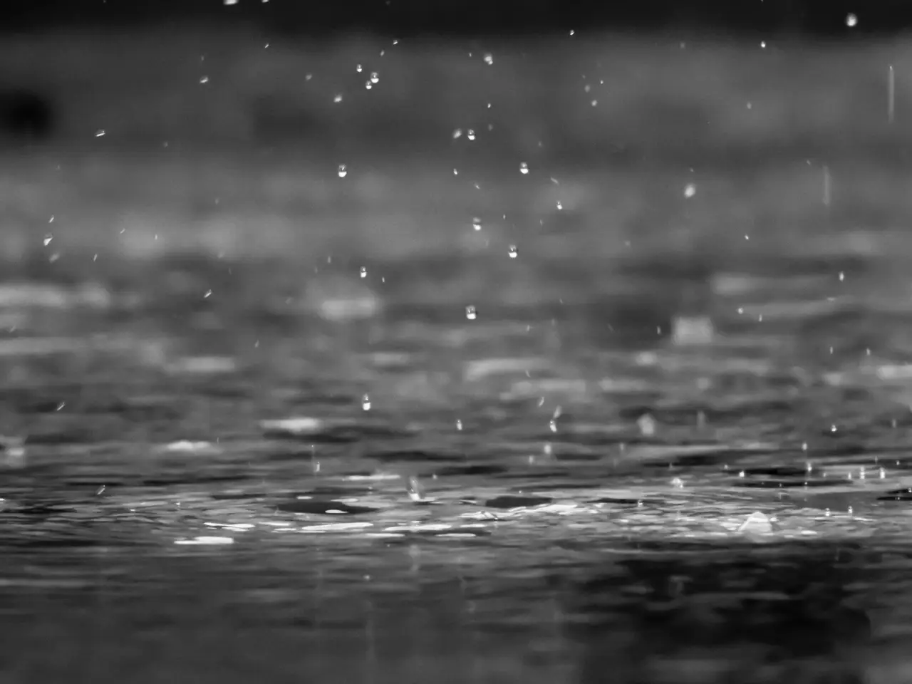 Bacteria in the clouds help make rain